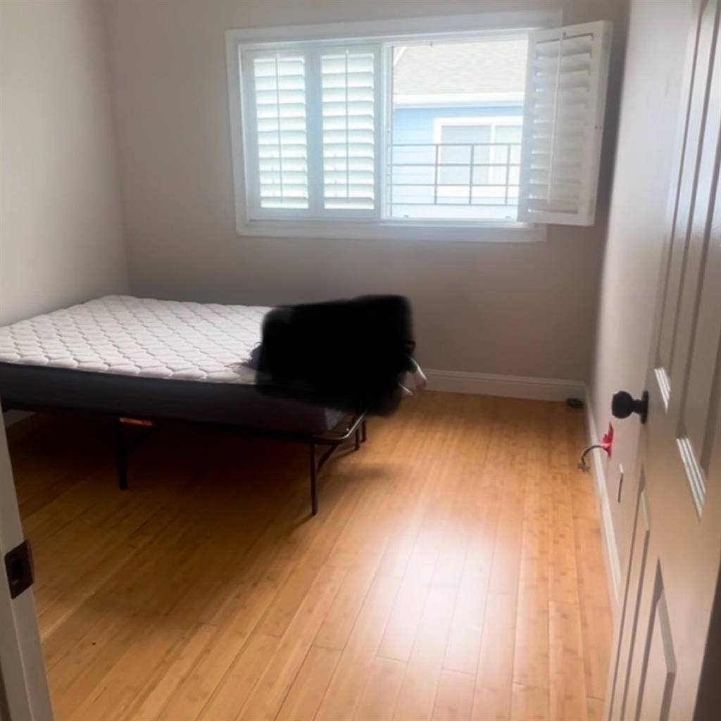 Room w/ own bathroom for rent