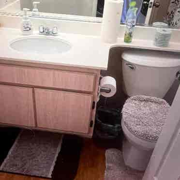 Room w/ own bathroom for rent