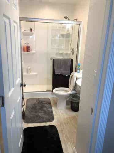 Beautiful Lg Furnished Studio