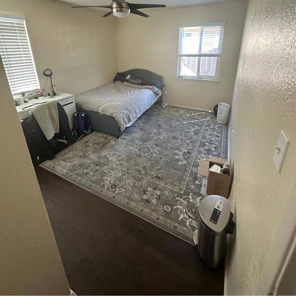 Friendly, tidy roommate wanted