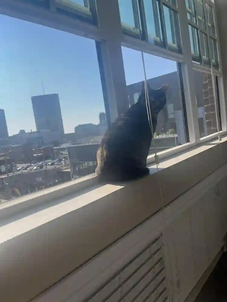 Top floor! Your own bathroom!