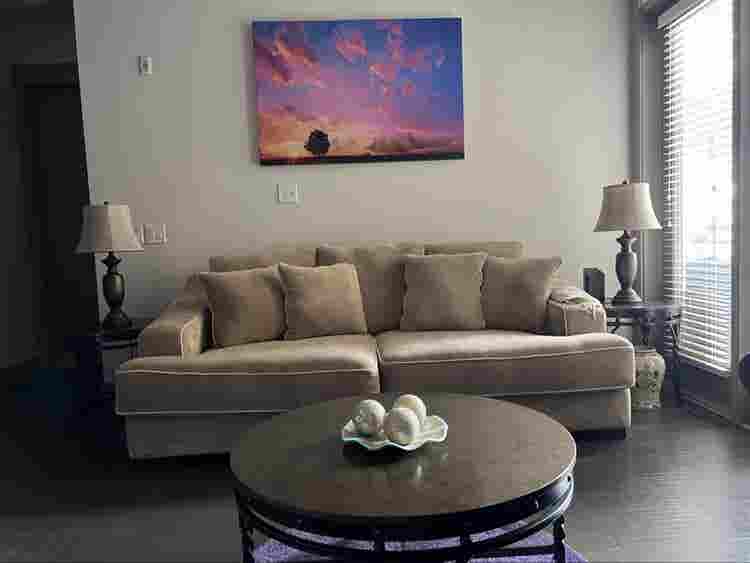 Upscale Sandy Springs Apartment
