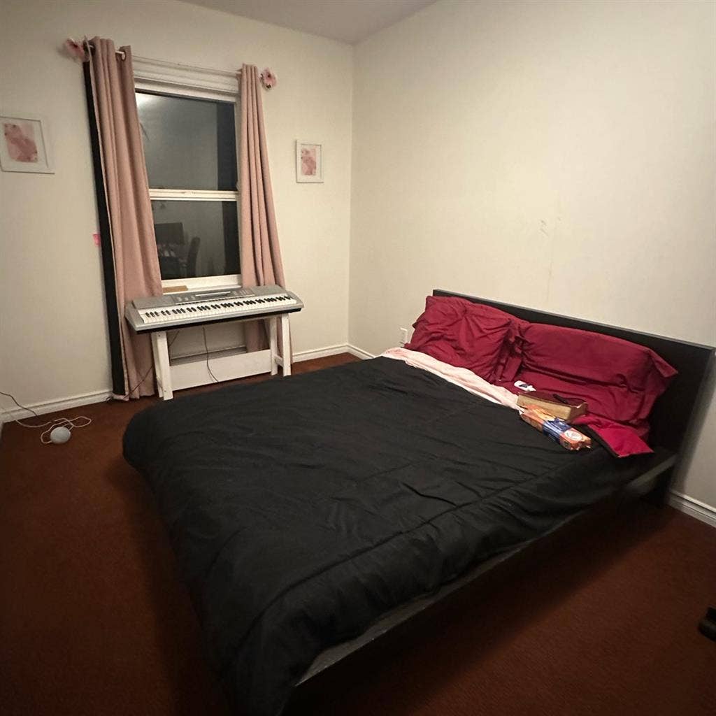 Looking for a roommate!