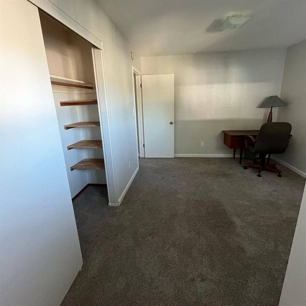 Roomate needed for 1bd apartment