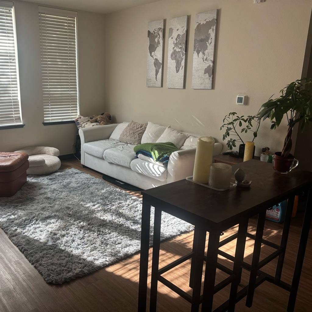 Looking for a roommate!