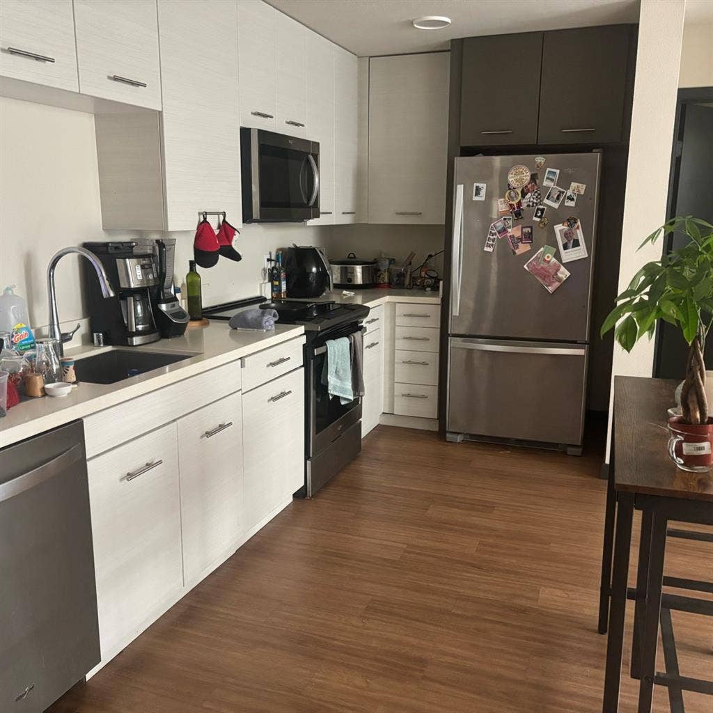 Looking for a roommate!