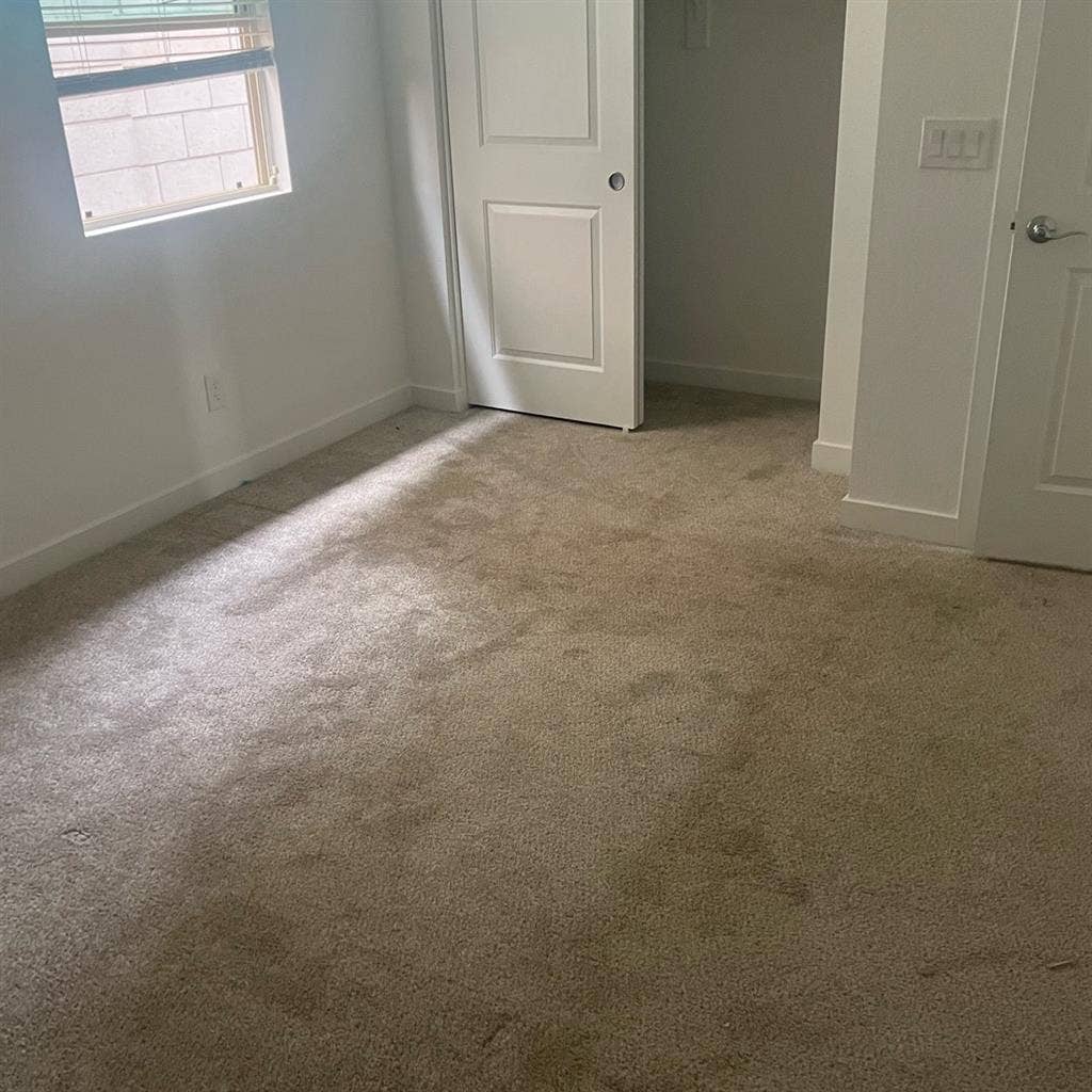 Looking for tenant starting May 1st