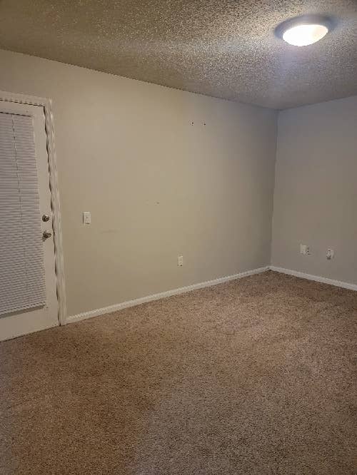 Looking for a roommate