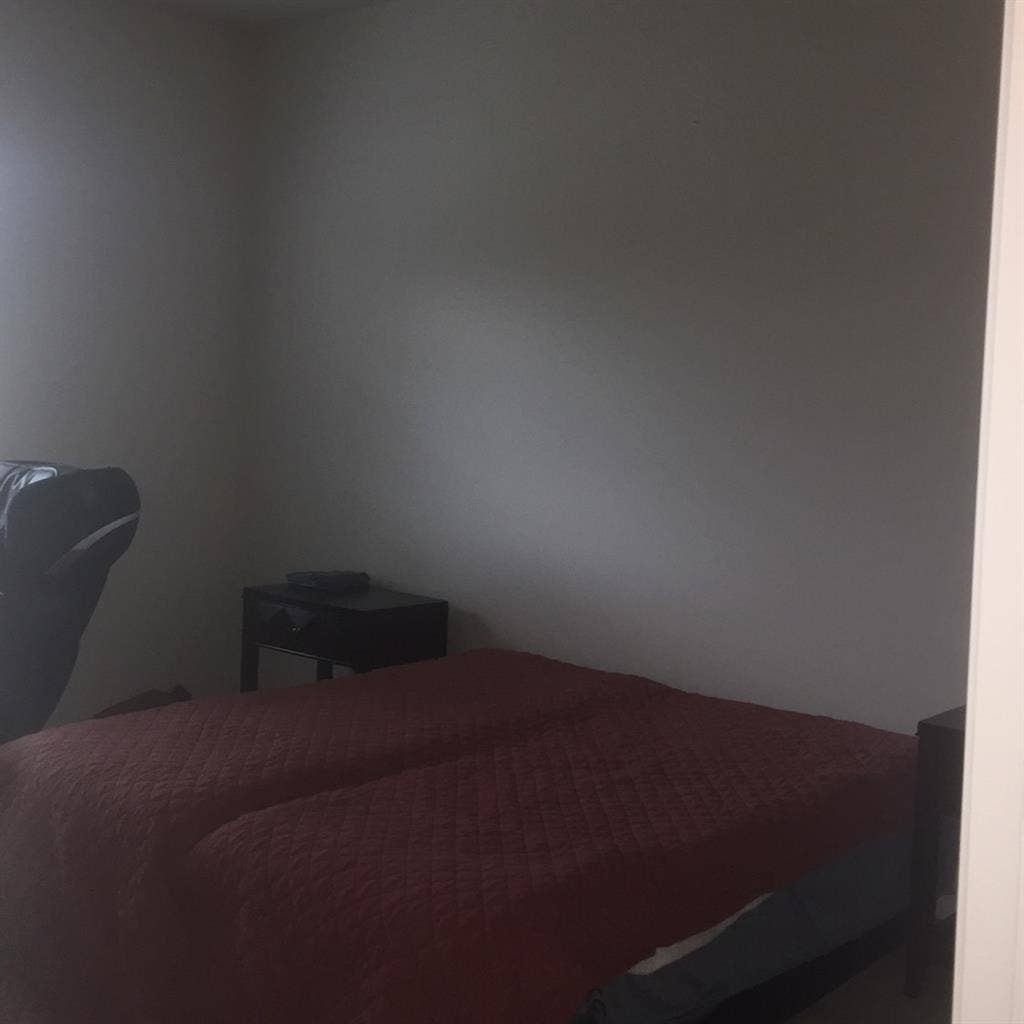 Looking for a responsible roommate