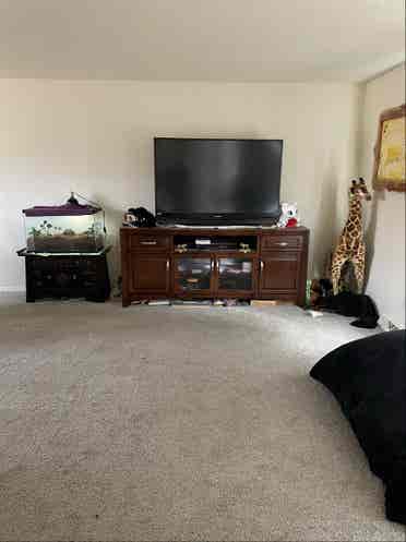 Private bedroom in 
3 bedroom house