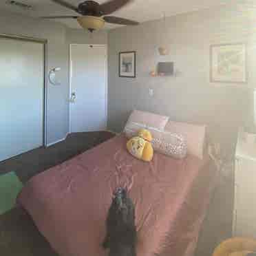 Room in woman-only Chino Hills home