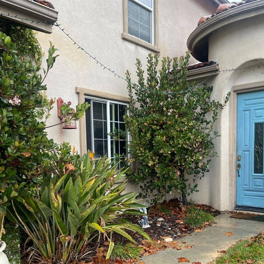 Two rooms for rent in Temeculaa