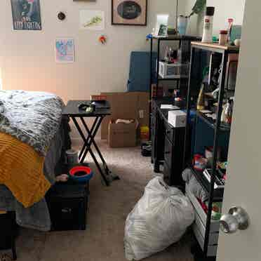 Looking For Roommate