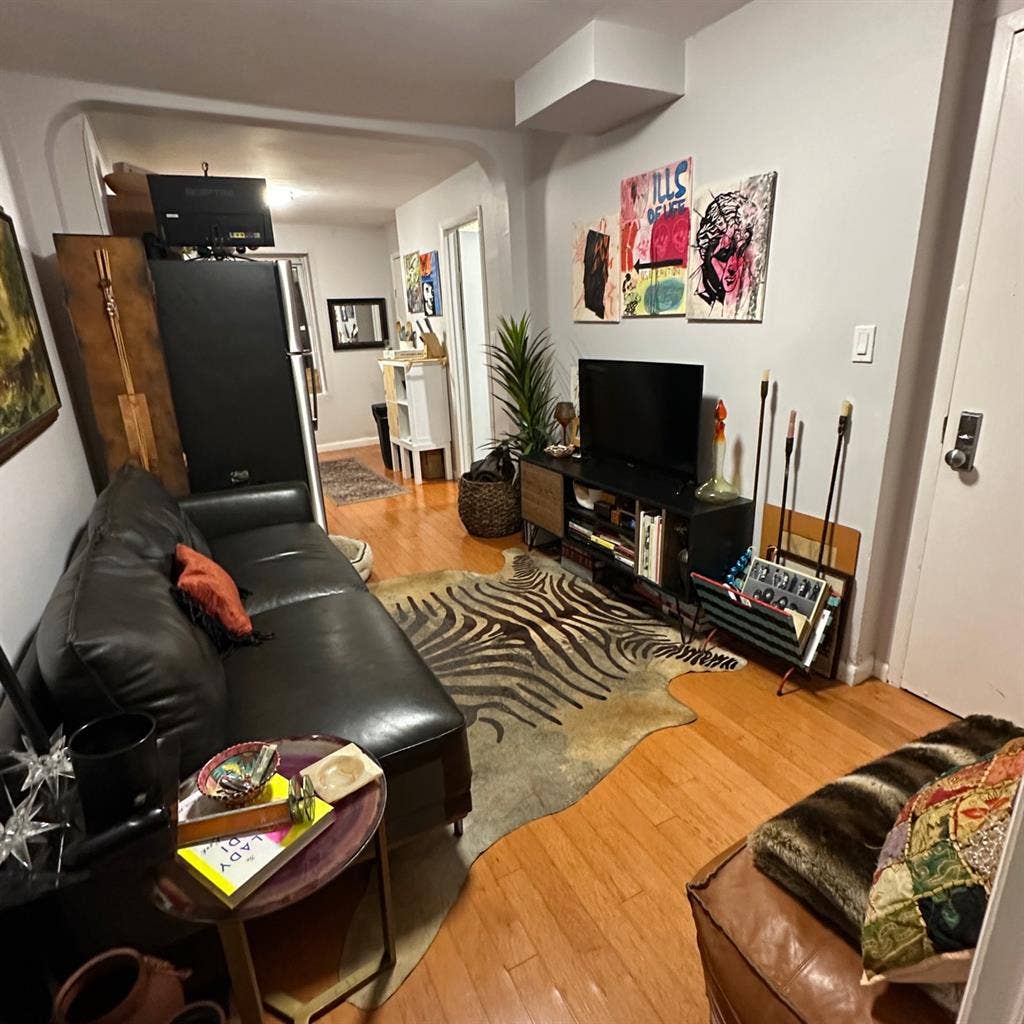 one bedroom apartment in ocean hill