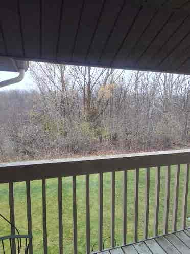 Wooded view apartment for rent