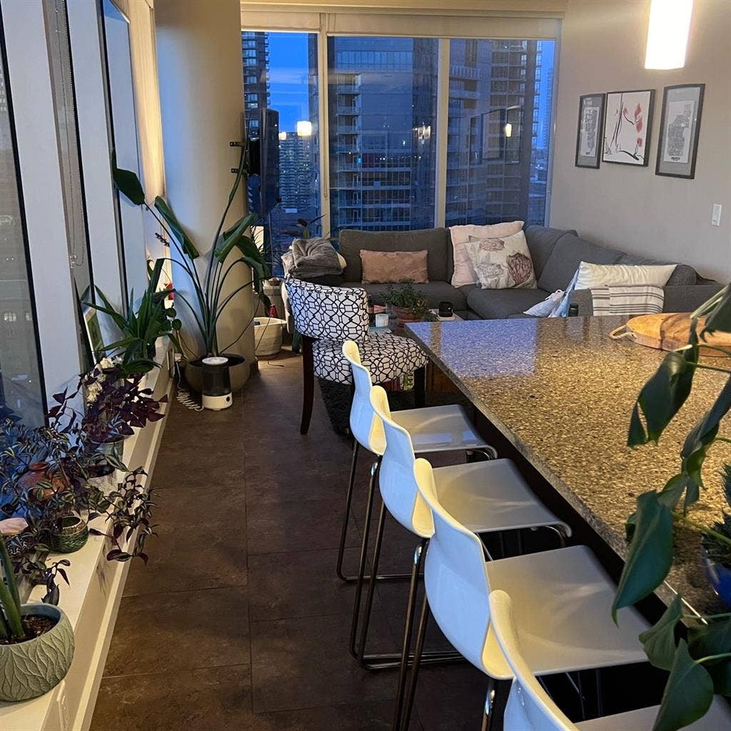 Room for Rent in Vibrant DT Apt