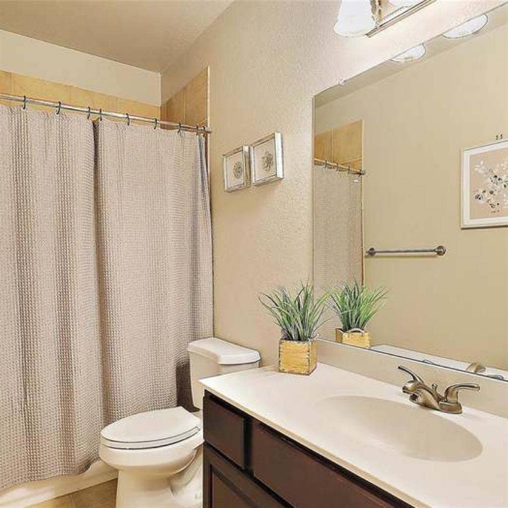 Cozy private bed and bath for rent!