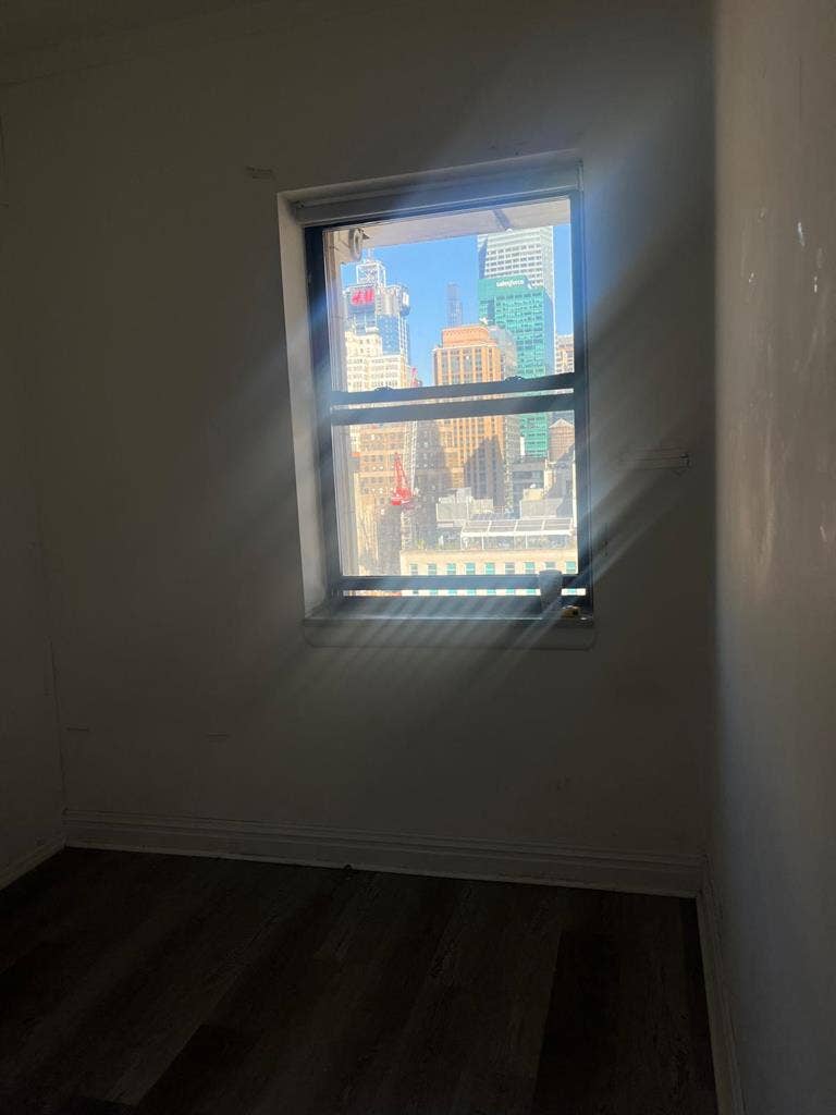 Sunny Room in Midtown South