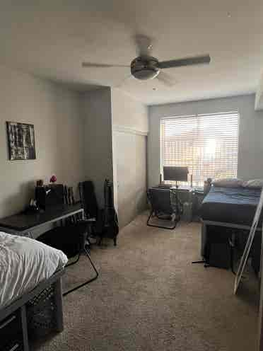 URGENT: Sublease starting January