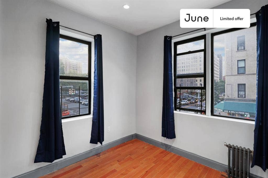 1 BR in New York City