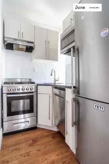 1 BR in New York City