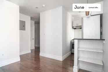 1 BR in New York City