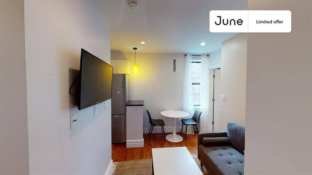 1 BR in New York City