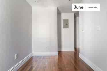 1 BR in New York City