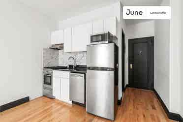 1 BR in New York City