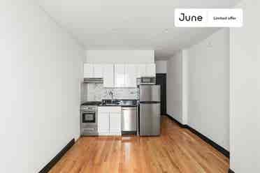 1 BR in New York City