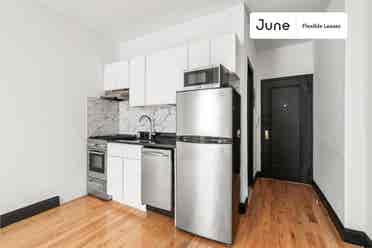 1 BR in New York City