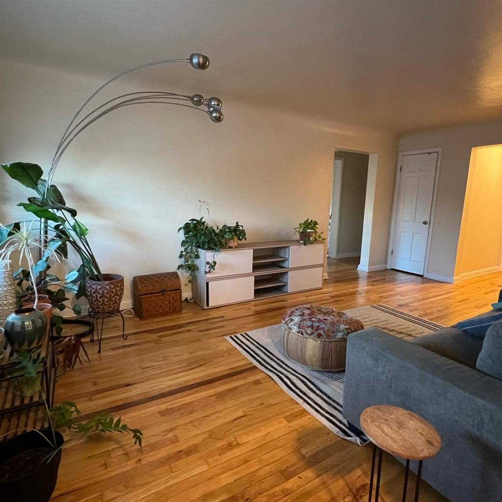 Roommate needed in Cap Hill Apt!