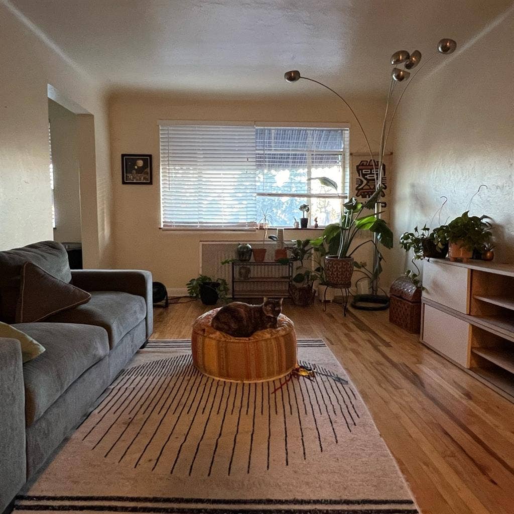 Roommate needed in Cap Hill Apt!