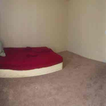 room vacant!! walkin closet +more