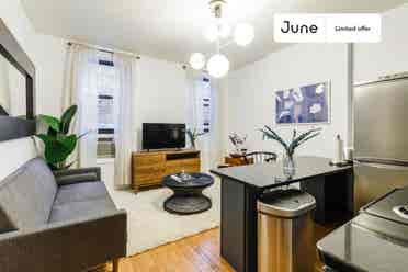 1 BR in New York City