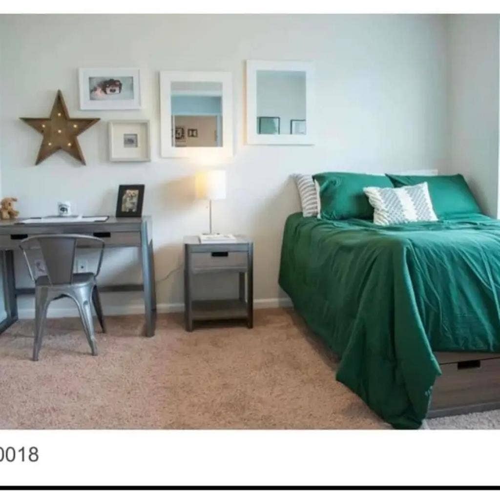 4
bed apt- 1 room available