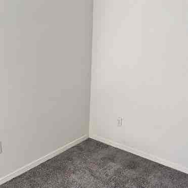 Looking for roommate