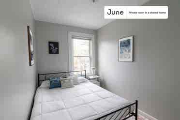 4 BR in Boston