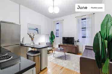 1 BR in New York City