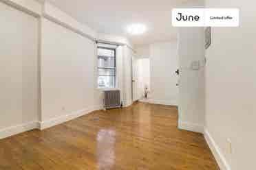 1 BR in New York City