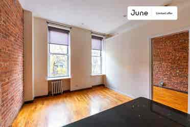 1 BR in New York City