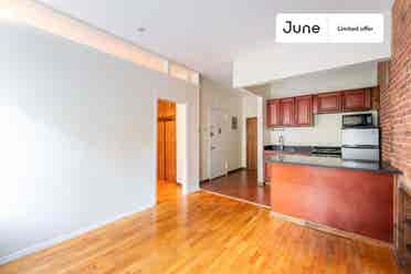 1 BR in New York City