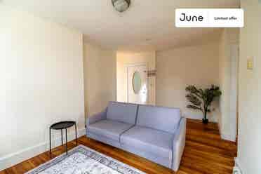 3 BR in Boston