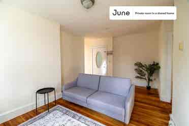 3 BR in Boston