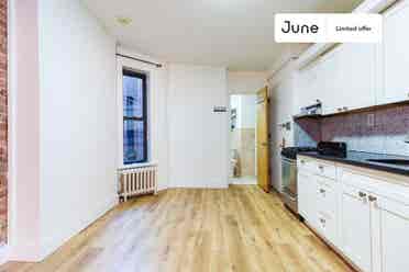 1 BR in New York City