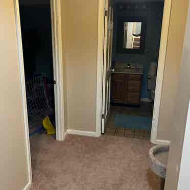 Seeking tenant for lower level room