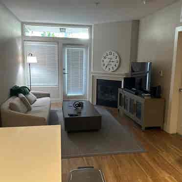 Amazing Apartment in Prime Westwood