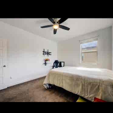 Room for rent in cedar park