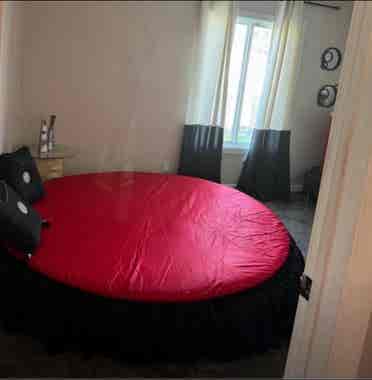 Elegant Room Available JULY!