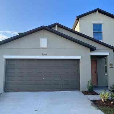 Nice Room in Wesley Chapel